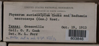 Image Associated With the Occurence